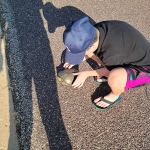 Meet your Posher, Ashton